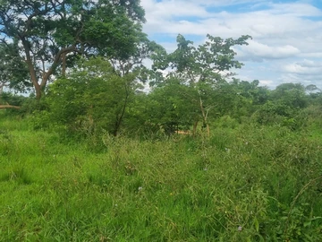 Farm & Agricultural Land