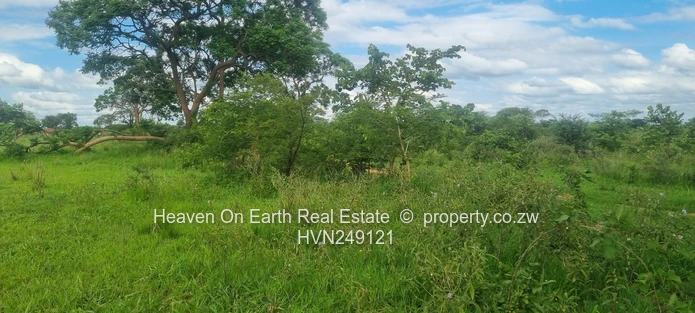 Plots for sale
