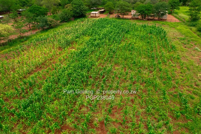 Collen Bawn Farm for Sale