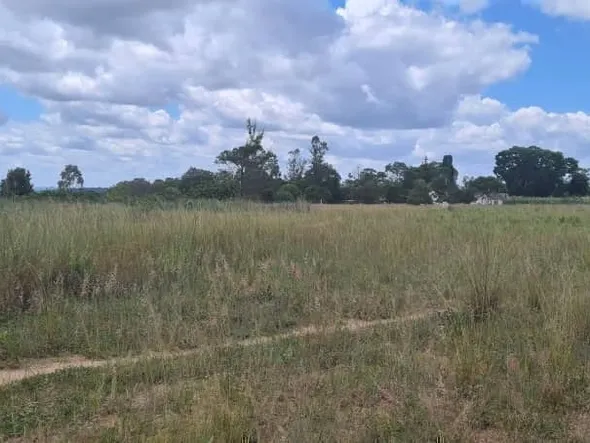 Farm & Agricultural Land