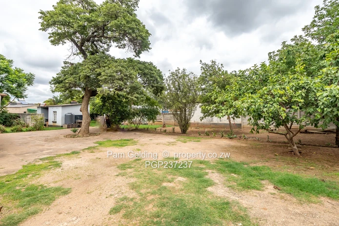 A True Gem! (Sole Mandate)