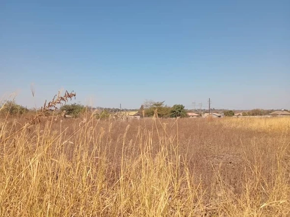 Farm & Agricultural Land
