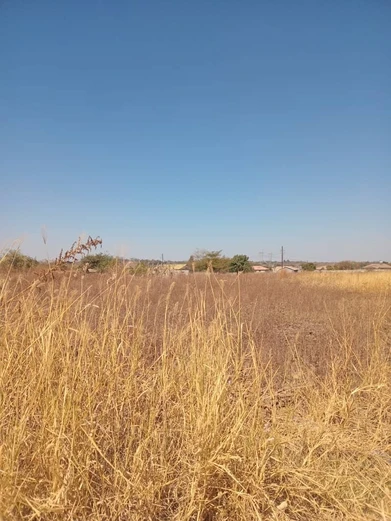 plot for sale in Nyabira