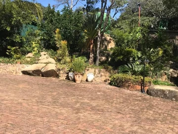 Farm & Agricultural Land