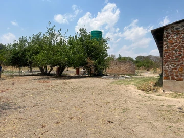 Farm & Agricultural Land