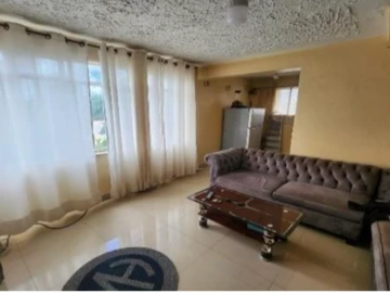 Flat & Apartment