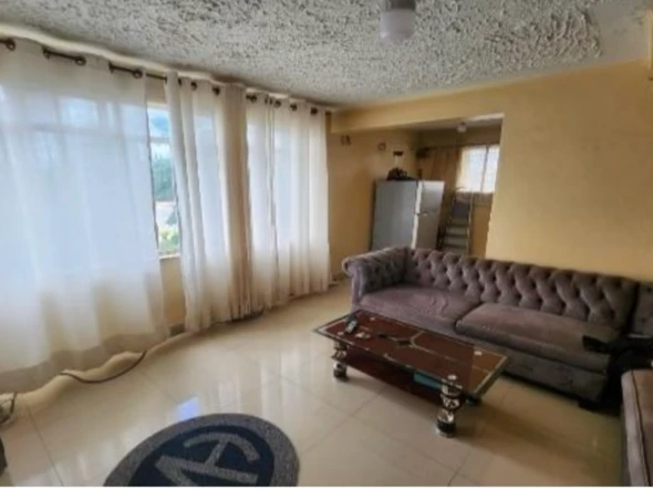 Flat & Apartment
