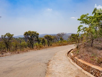 Farm & Agricultural Land