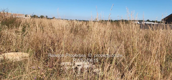 Reinham residential stands for sale 