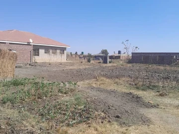 Stands & Residential Land