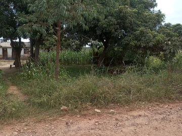 Farm & Agricultural Land