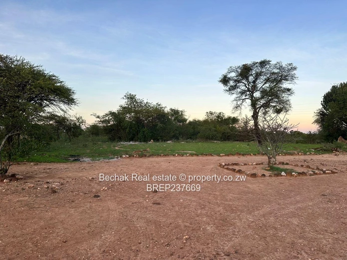 Tree-lined 3.2 Acre Arable Farm with Road Frontage — Bulawayo East