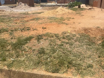 Stands & Residential Land