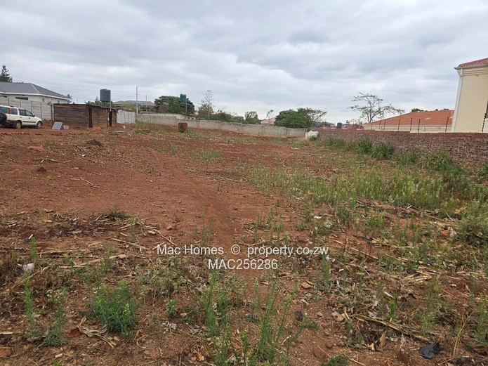 Ready to Build Stand for Sale