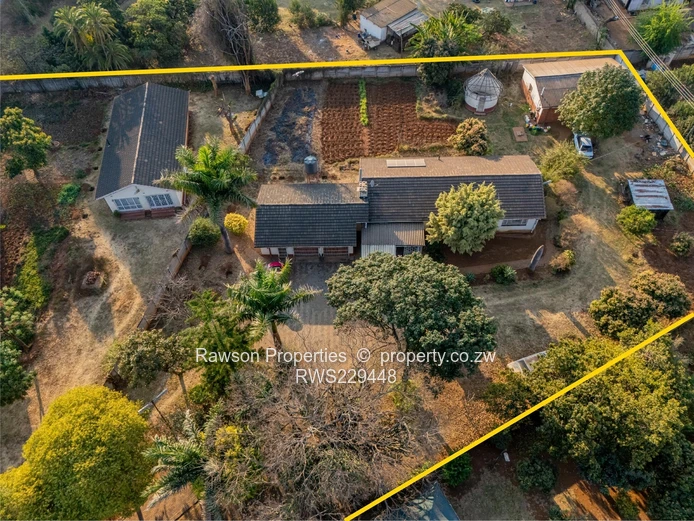 Golden Oldie in Marlborough 