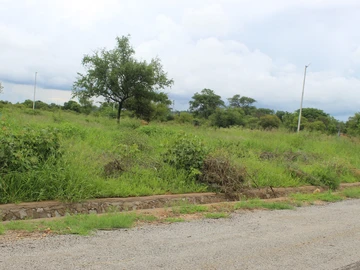 Stands & Residential Land