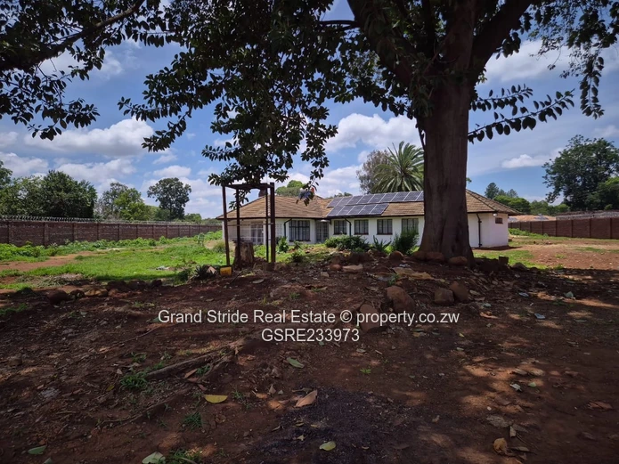 House For Rent In Marlborough