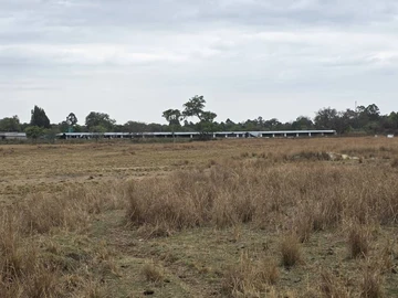 Farm & Agricultural Land