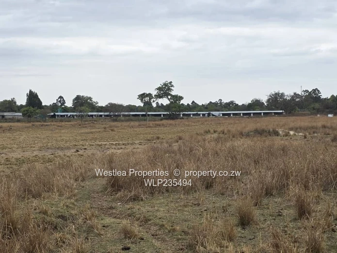 An opportunity not to miss