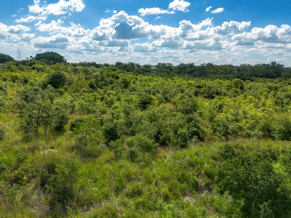 Farm & Agricultural Land