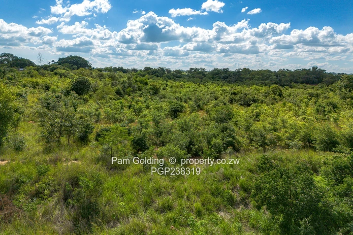 Perfect Agro-Residential Plot (Sole Mandate)