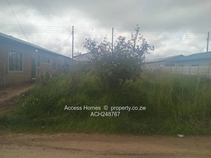 Nehosho Gweru Stand for Sale