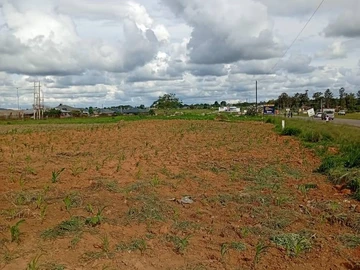 Commercial & Industrial Land