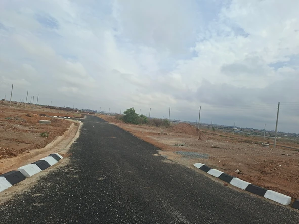 Stands & Residential Land