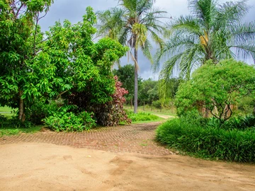 Farm & Agricultural Land