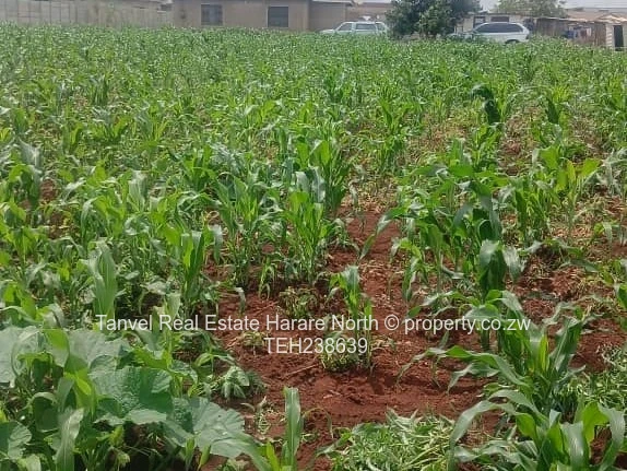 Mt Pleasant Heights, Equity Developer .2268sqm  , $125k.Fully serviced and ready for title