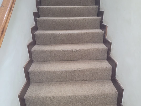 3 Bedroom Flat & Apartment