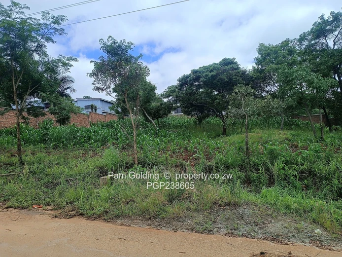 Corner Residential Stand For Sale!