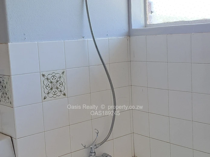 Neat garden flat to let in Avondale West