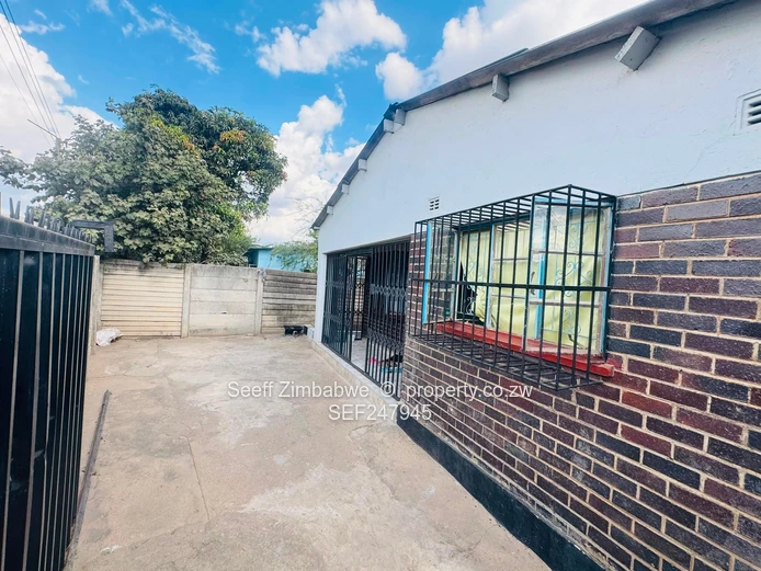Newly Renovated 4-Bedroom Home in Highfield (Sole Mandate)