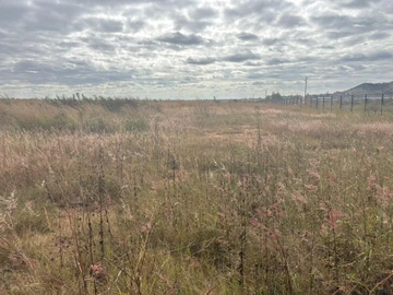 Land