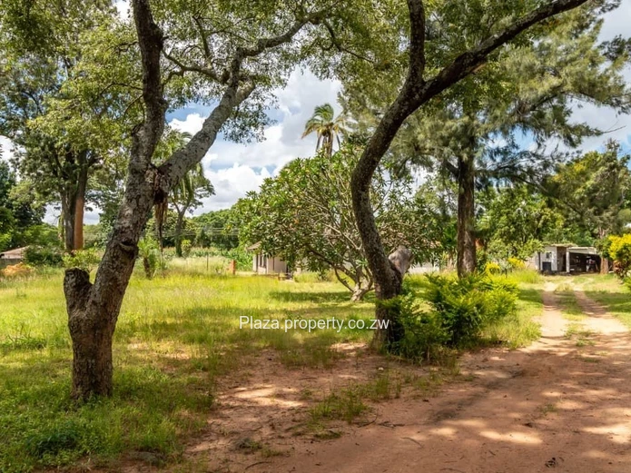 Developers Dream In Hatfield