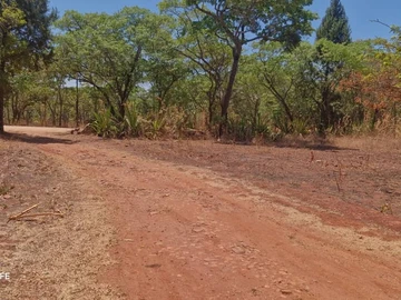 Farm & Agricultural Land