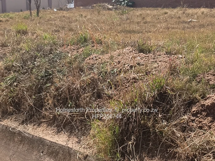 Mabvazuva 675sqm corner stand for sale