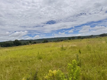 Farm & Agricultural Land