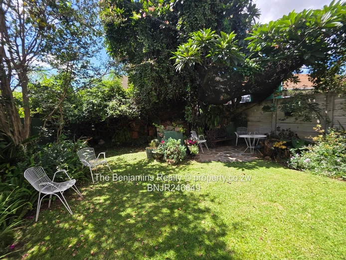 Fully Furnished Garden Flat In Avondale