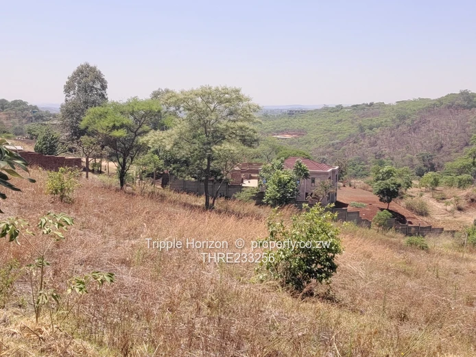 Enormous Investment Opportunity 