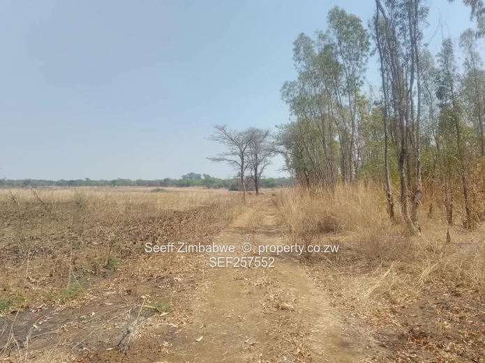 109,174ha Whitecliff Farm — Subdivision Potential 