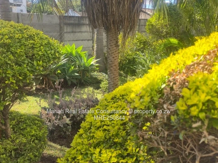 Avondale,2 Bedroom Flat FOR RENT