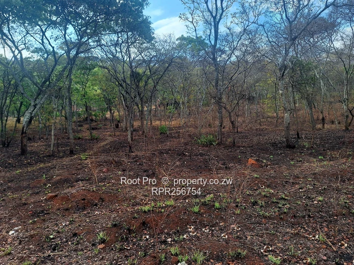 Well-treed Lake Chivero Stand (taking mortgage). . . (Sole Mandate)