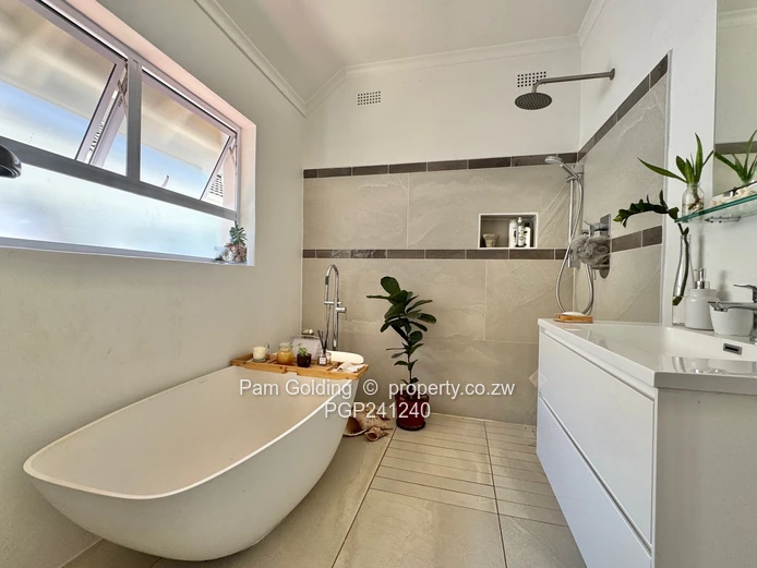 Alexandra Park - Seeing is believing 