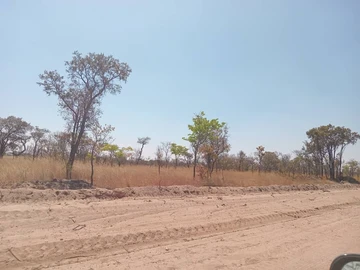 Farm & Agricultural Land