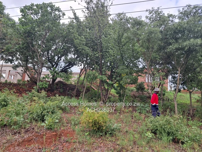 Shawasha Hills inside doom gate 