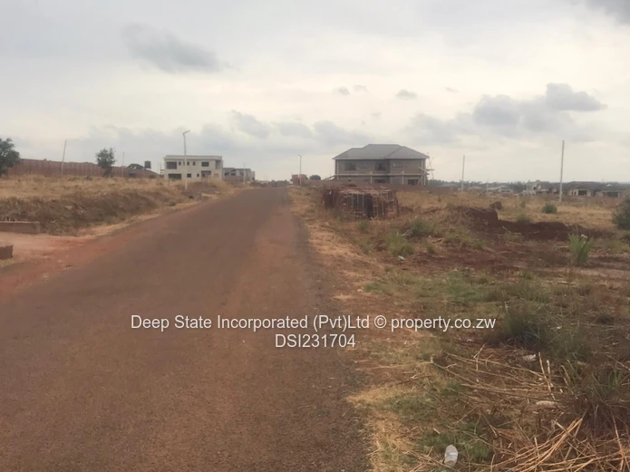 Nyeredzi stand for sale 