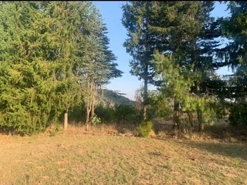 Sprawling 15.6 Hectares of Fertile Land in Nyanga