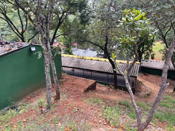 Farm & Agricultural Land